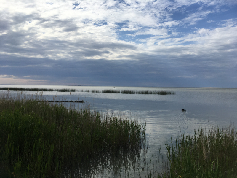 Illustration for article titled Return to the Coorong & Legend of the Lakes